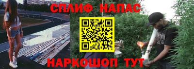 PSILOCYBIN Мариинск