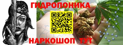 PSILOCYBIN Мариинск